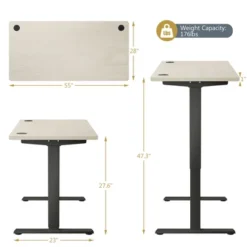 Costway Office Electric Adjustable Standing Up Desk Dual Motor W/ Controller