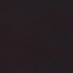 Tracy 2 Drawer Office Desk - Coaster -Homcom Furniture Shop GUEST d9da5fb4 ce62 489a b9ea 02b2fef2ba1d