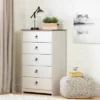 Plenny 5 Drawer Chest White Wash/Weathered Oak - South Shore